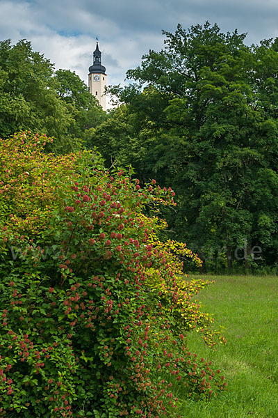 Thüringen (Thuringia)