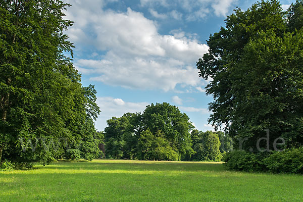 Thüringen (Thuringia)