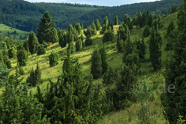 Thüringen (Thuringia)