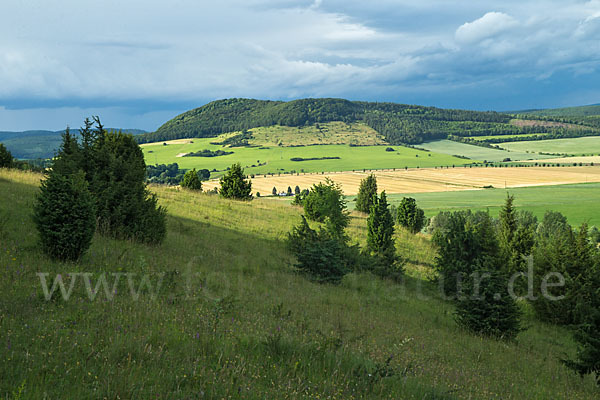 Thüringen (Thuringia)