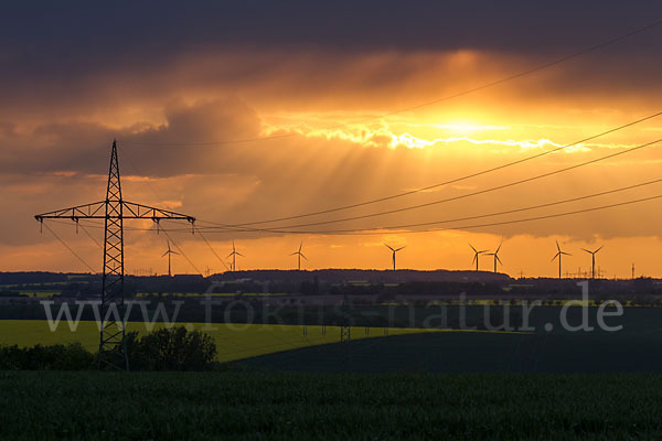 Thüringen (Thuringia)