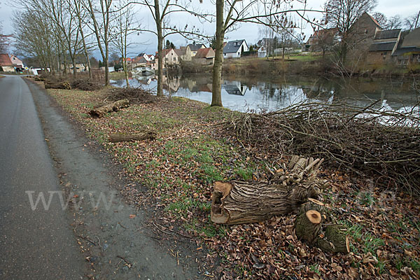 Thüringen (Thuringia)