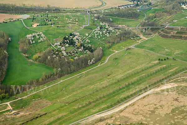 Thüringen (Thuringia)