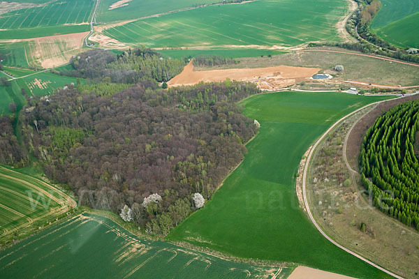 Thüringen (Thuringia)