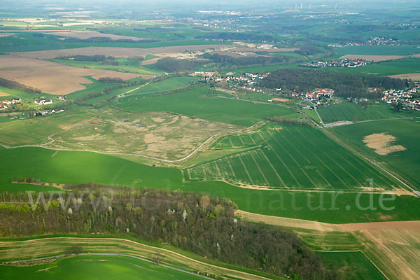 Thüringen (Thuringia)