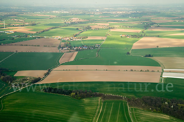 Thüringen (Thuringia)