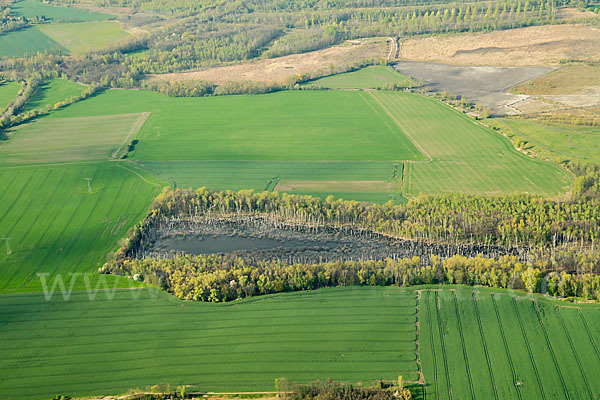 Thüringen (Thuringia)