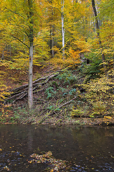 Thüringen (Thuringia)