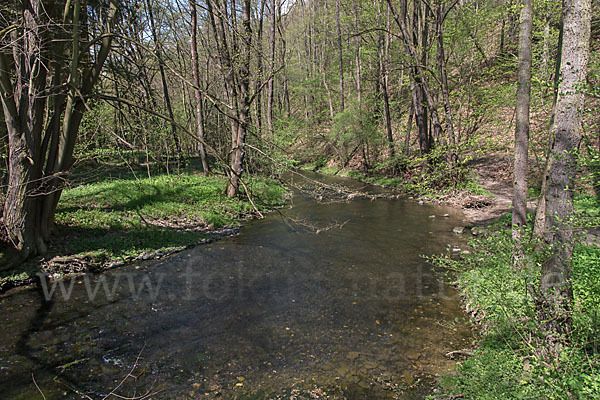 Thüringen (Thuringia)