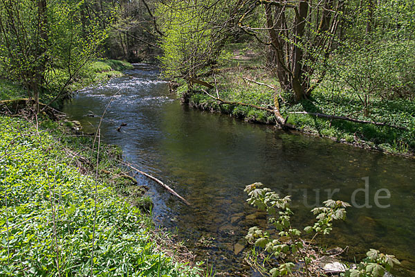 Thüringen (Thuringia)