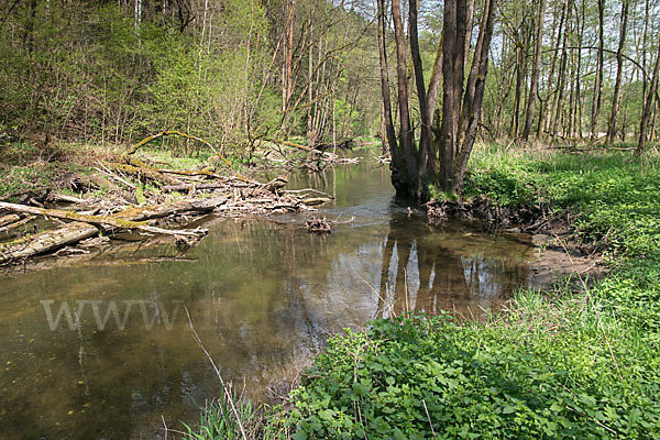 Thüringen (Thuringia)