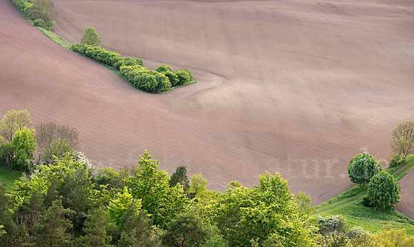 Thüringen (Thuringia)