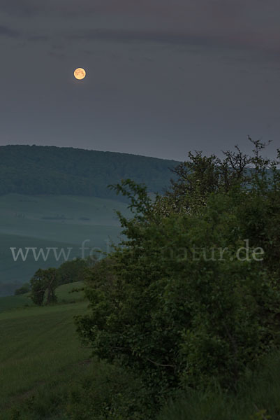 Thüringen (Thuringia)