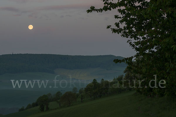 Thüringen (Thuringia)