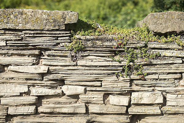 Trockenmauer (dry-stone wall)