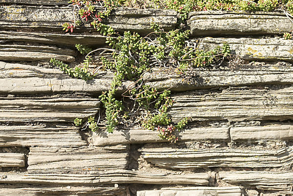 Trockenmauer (dry-stone wall)