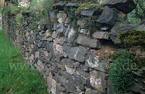 Trockenmauer (dry-stone wall)