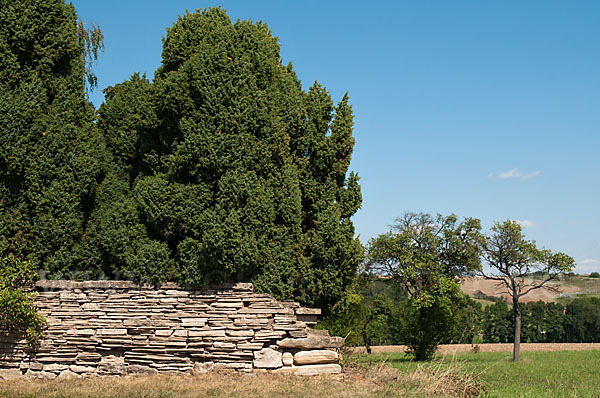 Trockenmauer (dry-stone wall)