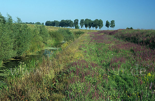 Ungarn (Hungary)