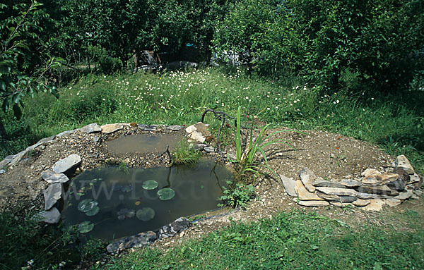 Vogelbad (bird bath)