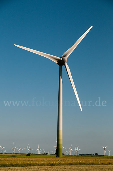 Windkraftanlage (wind turbine)