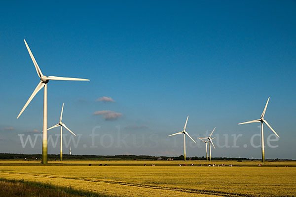 Windkraftanlage (wind turbine)