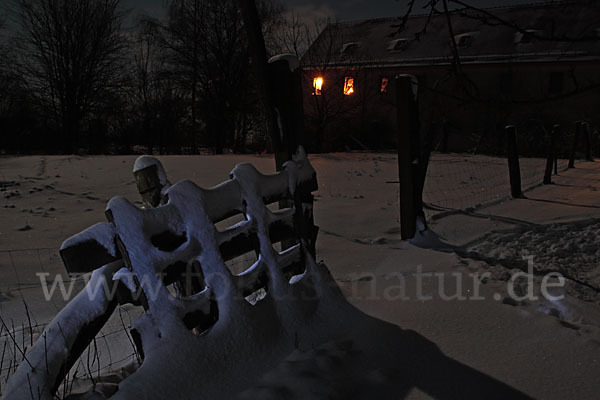 Winter (winter)