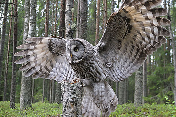 Fototour Finnland