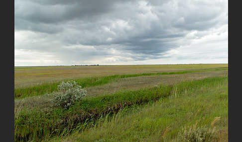 Kasachstan (Kazakhstan)