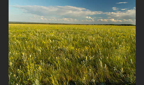 Kasachstan (Kazakhstan)