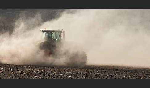 Intensive Landwirtschaft (industrial agriculture)