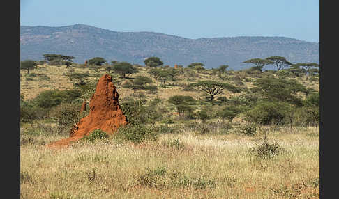 Aethiopien (Ethiopia)