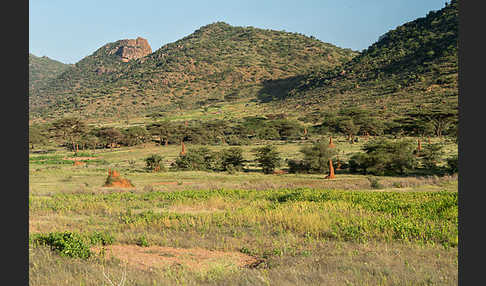 Aethiopien (Ethiopia)