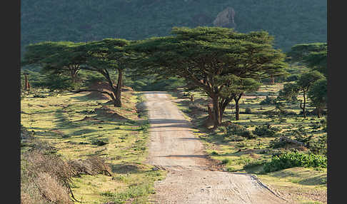 Aethiopien (Ethiopia)