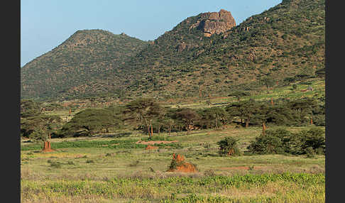 Aethiopien (Ethiopia)