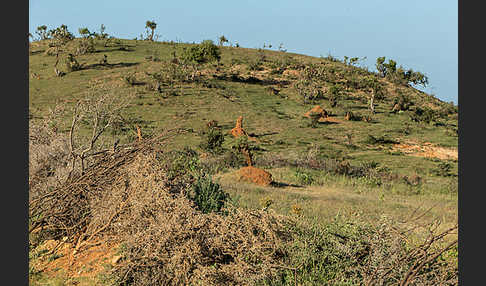 Aethiopien (Ethiopia)