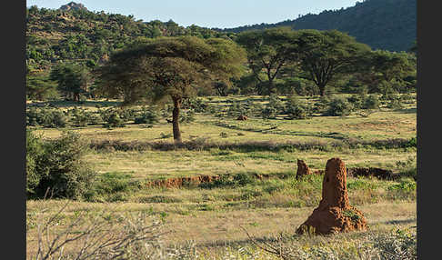 Aethiopien (Ethiopia)