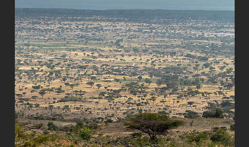 Aethiopien (Ethiopia)