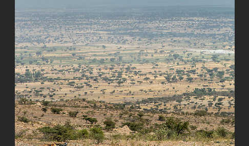 Aethiopien (Ethiopia)