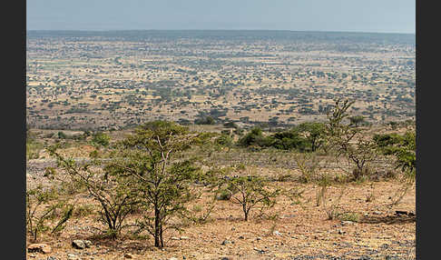 Aethiopien (Ethiopia)