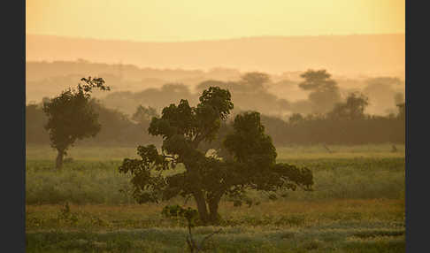 Aethiopien (Ethiopia)