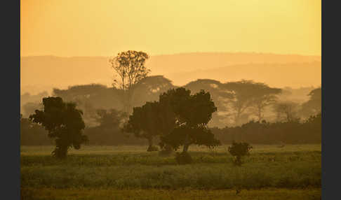 Aethiopien (Ethiopia)