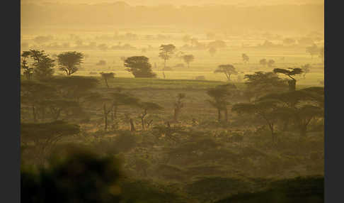 Aethiopien (Ethiopia)