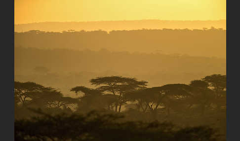 Aethiopien (Ethiopia)