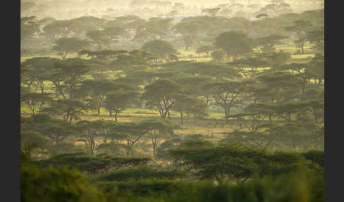 Aethiopien (Ethiopia)