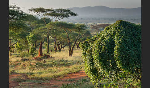 Aethiopien (Ethiopia)