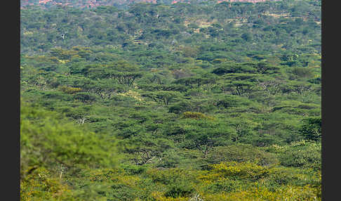 Aethiopien (Ethiopia)