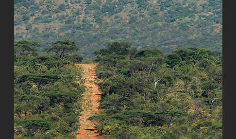 Aethiopien (Ethiopia)