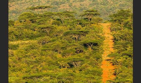 Aethiopien (Ethiopia)