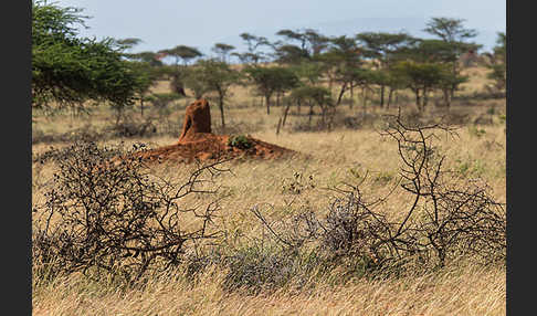 Aethiopien (Ethiopia)